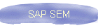 SAP SEM