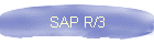 SAP R/3